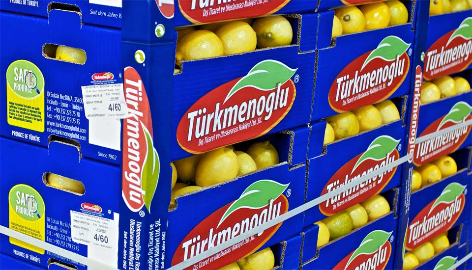 Türkmenoğlu güvenli ürün limon