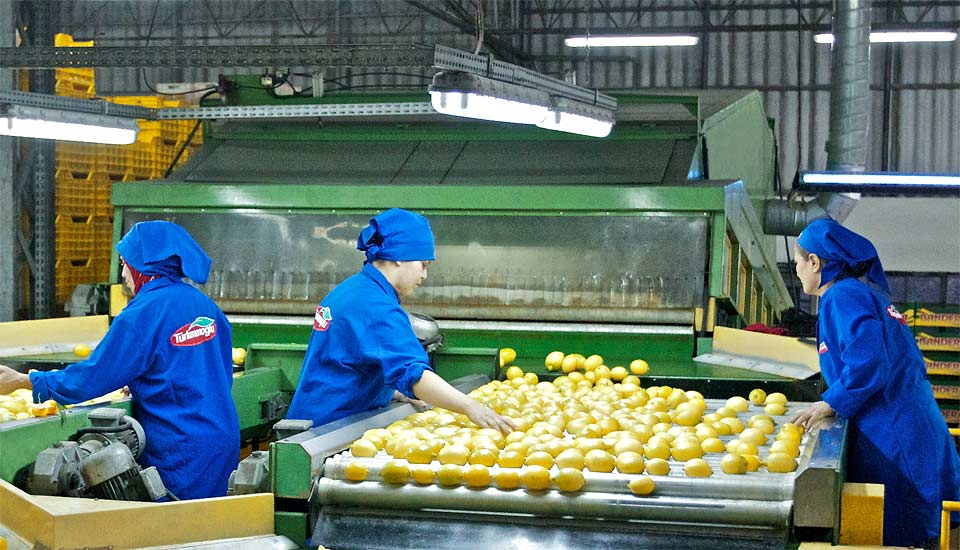 Türkmenoğlu güvenli ürün limon