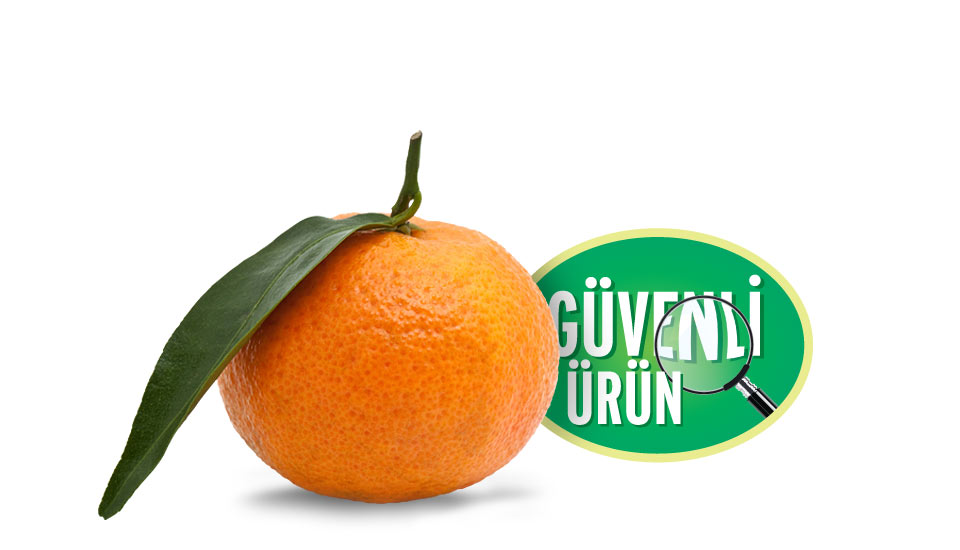 Türkmenoğlu güvenli ürün mandarin